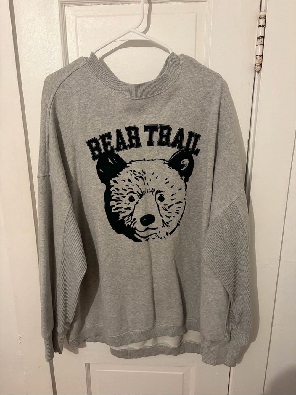 Aerie 'Bear Trail' Graphic Crewneck Oversized Sweatshirt